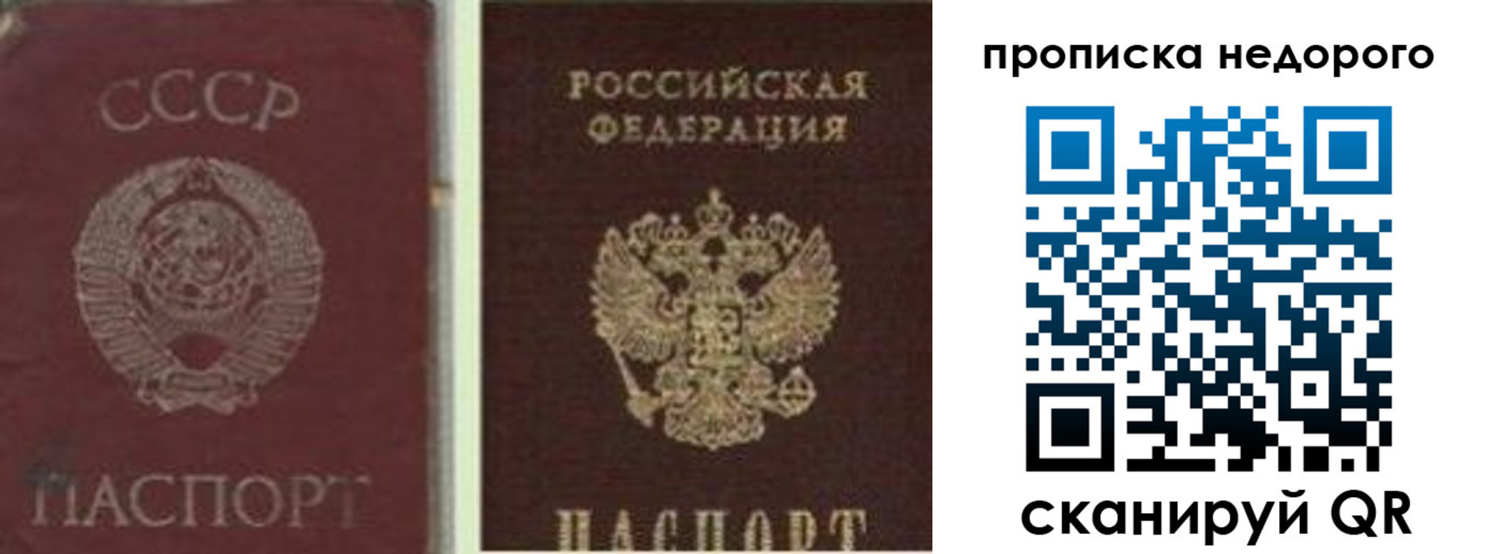 временная регистрация поиск в Сланцах